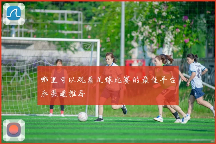 哪里可以观看足球比赛的最佳平台和渠道推荐